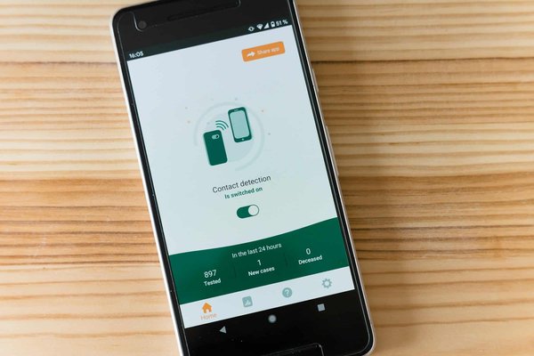 Comment cultiver des plantes carnivores aquatiques rares ?